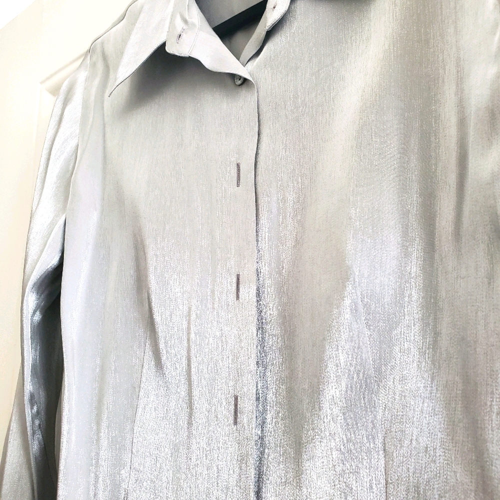 Silver Blouse - image 1